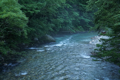 05DE7009-905B-45FF-AB6D-983DBB7A07EF.jpeg